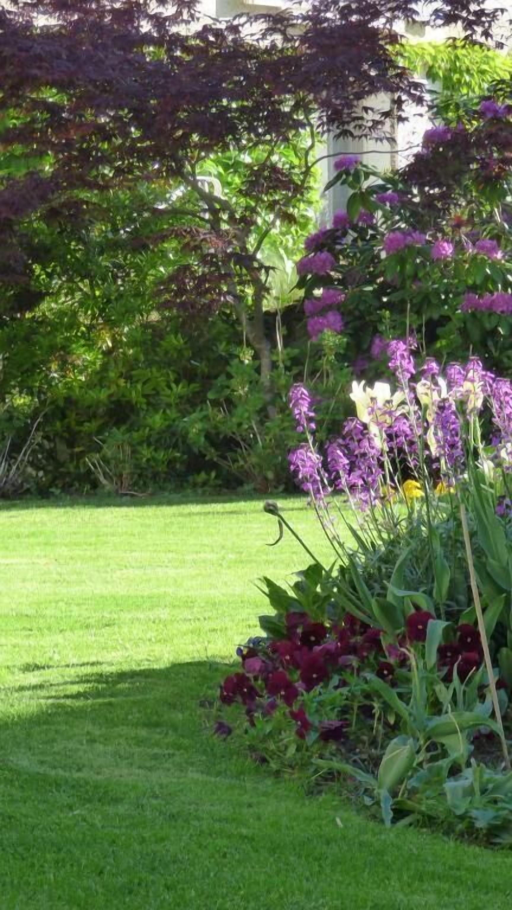 A well-maintained garden with a variety of flowers and shrubs, a neatly trimmed lawn, and a building in the background.