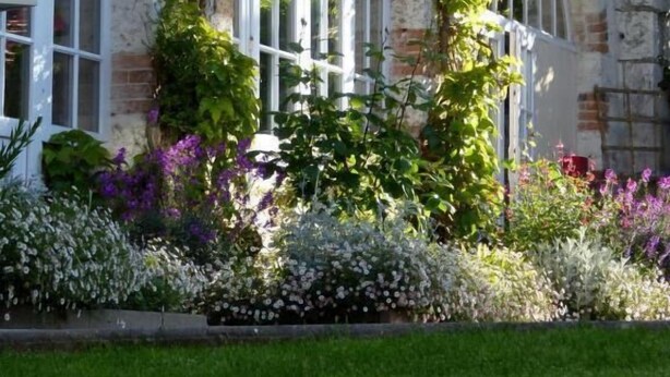 A historic building with arched windows and ivy-covered walls. - La Tonnellerie (Tavers)