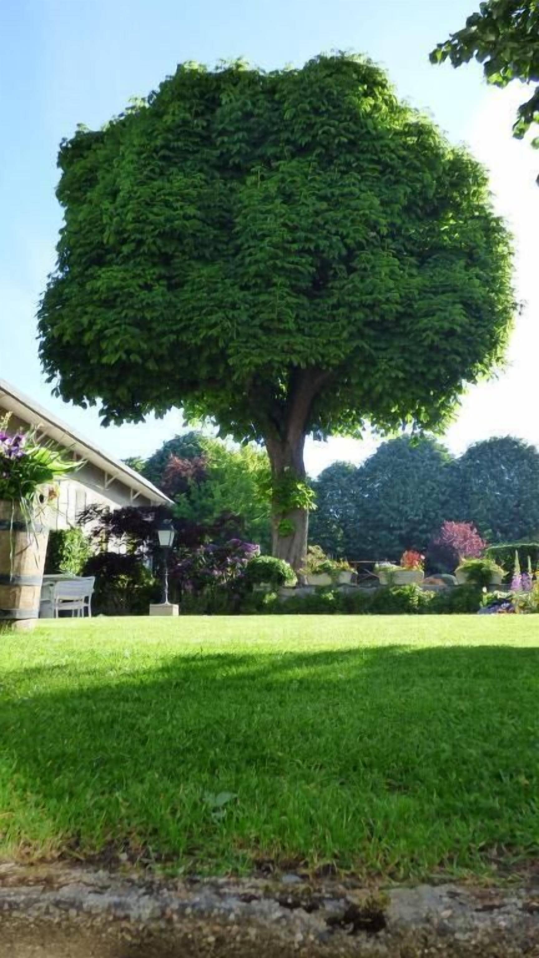 Jardines del alojamiento