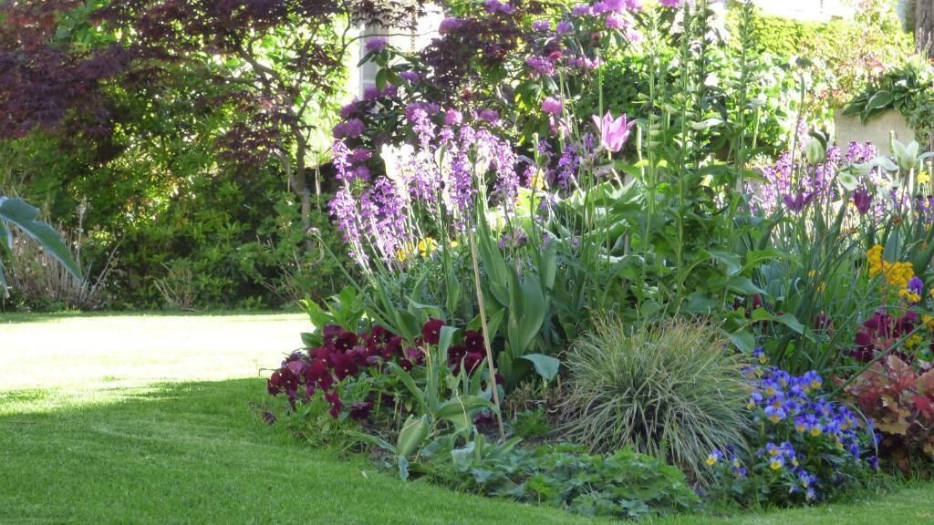 A garden with various flowers and plants, a lawn, and a building in the background.