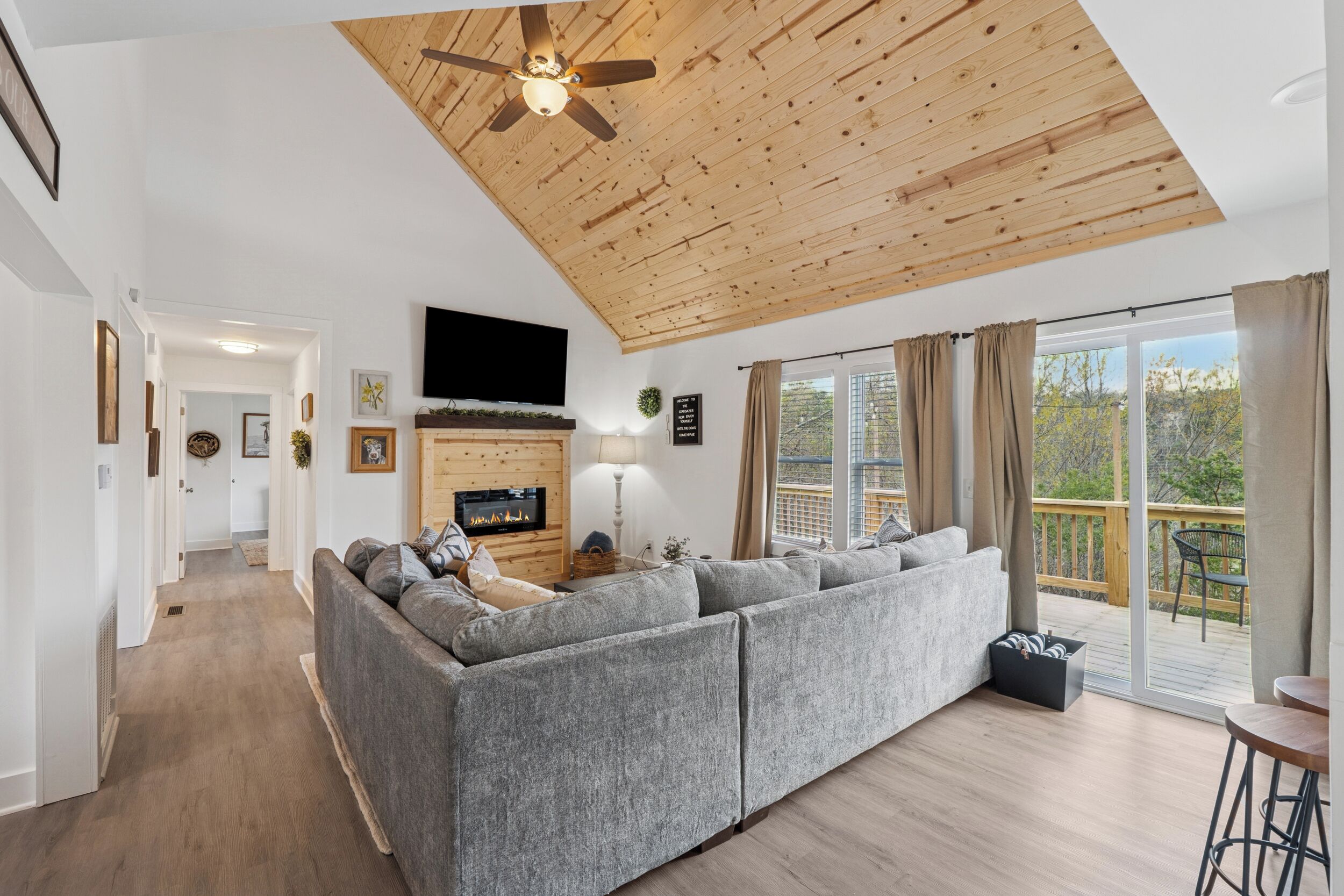 Smart TV, fireplace, books