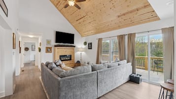 Smart TV, fireplace, books