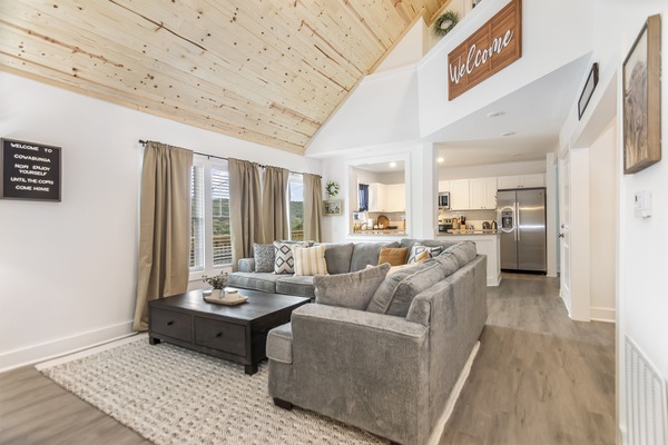 Smart TV, chimenea, libros