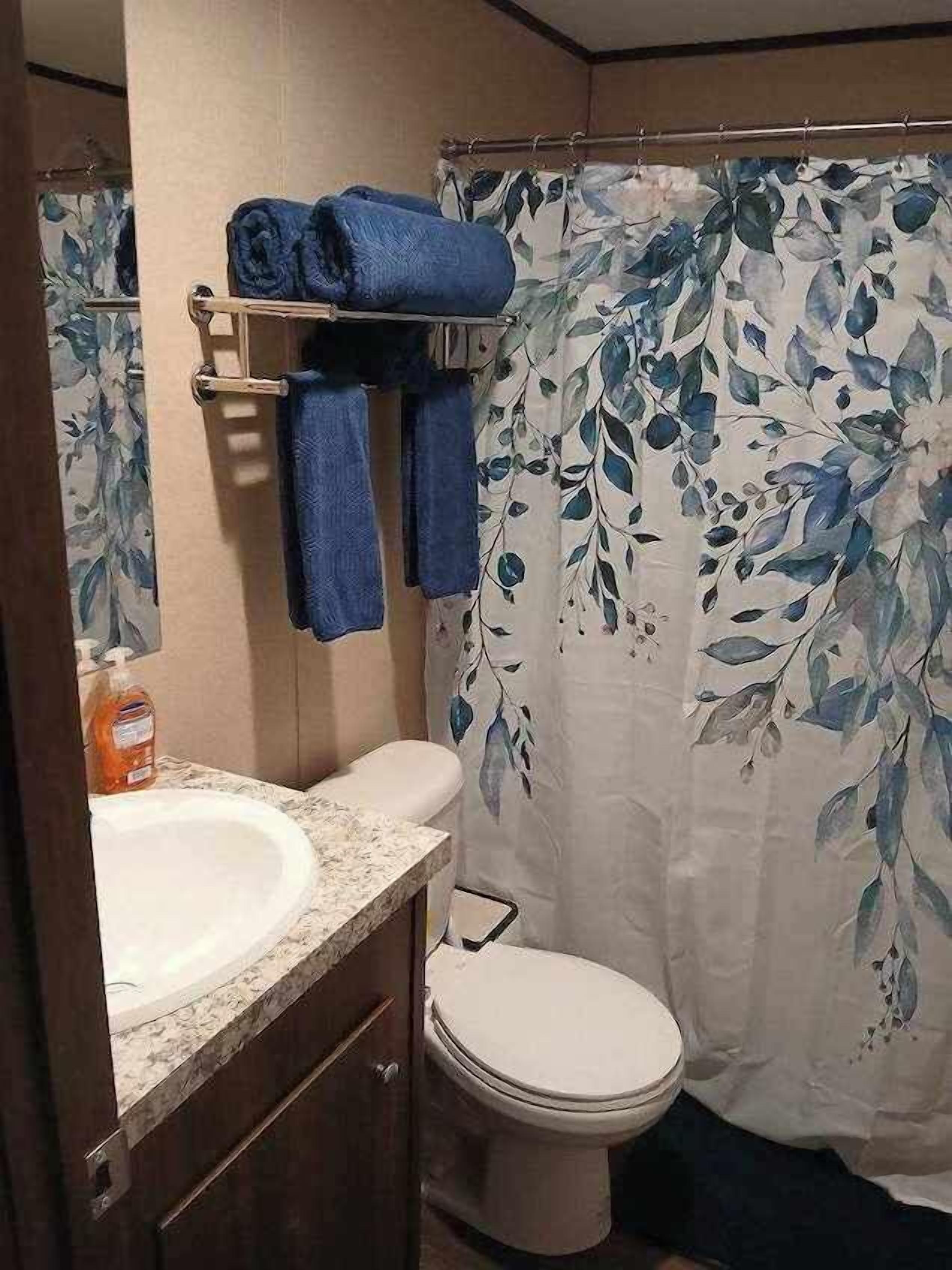 A bathroom with a toilet, a sink, and a shower curtain with a leaf pattern.