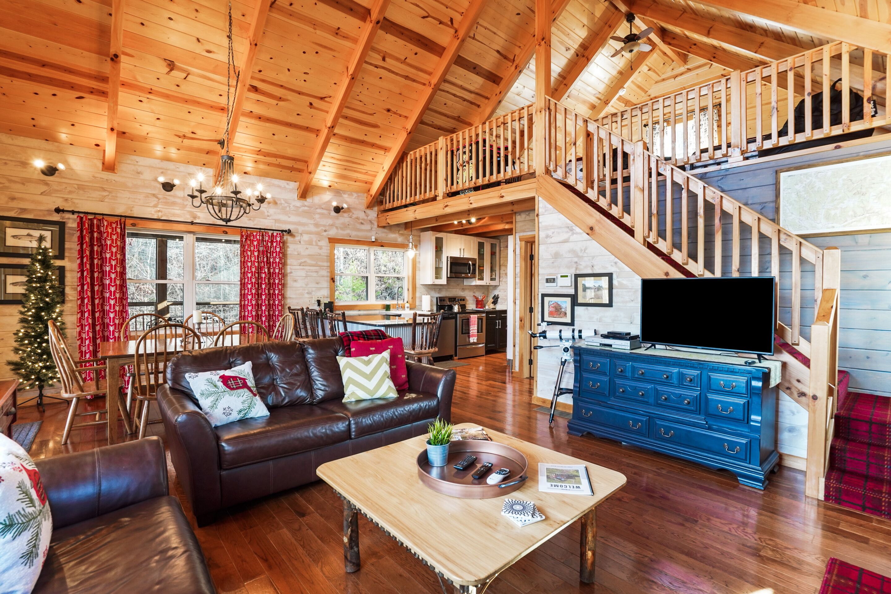 テレビ、暖炉、DVD プレーヤー、書庫