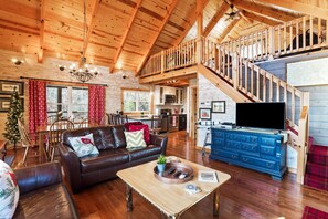 Télévision, cheminée, lecteur de DVD, livres