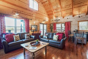 TV, fireplace, DVD player, books