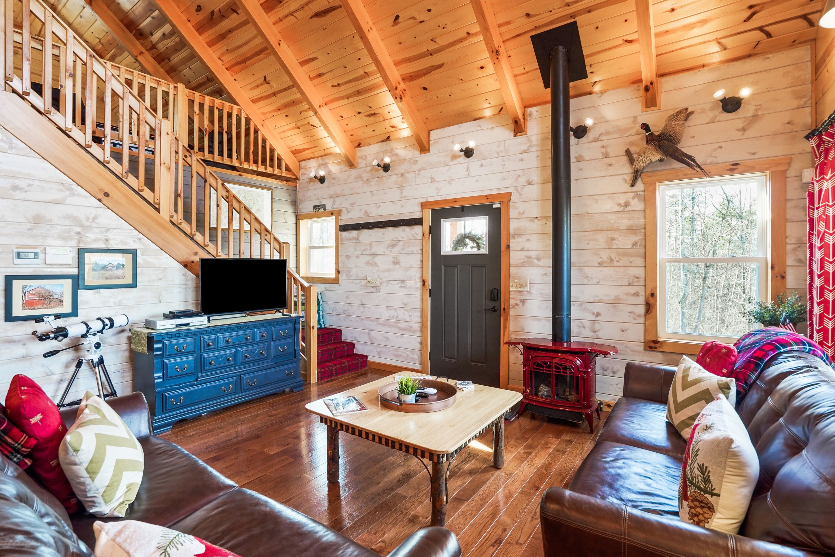 TV, fireplace, DVD player, books