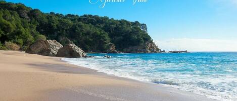 Ligstoelen aan het strand