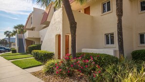 A modern building with a flat roof, multiple windows, and a well-maintained garden with palm trees and flowering plants.