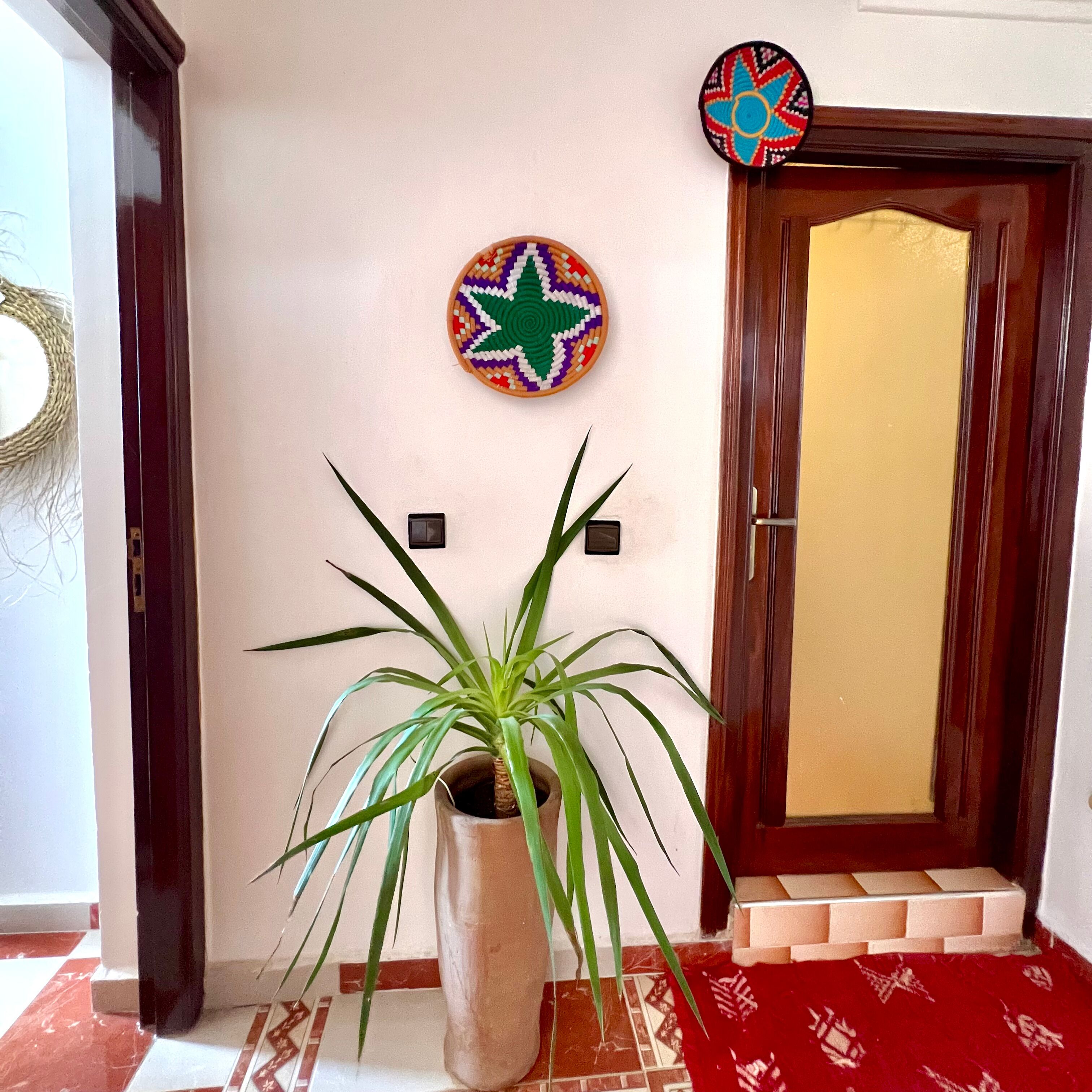 Un couloir orné d’une plante en pot, d’une décoration murale et d’une porte en bois dotée d’un panneau de verre.