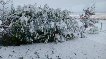 Room, 1 Bedroom, Garden View | Miscellaneous