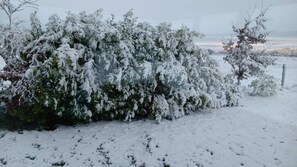 Chambre, 1 chambre, vue jardin | Divers