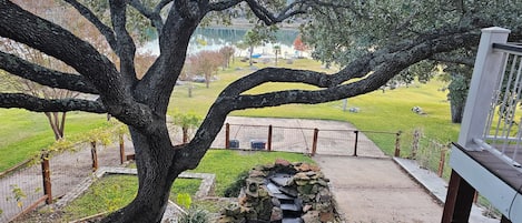 A large tree in a park with a stone bridge over a small stream.
