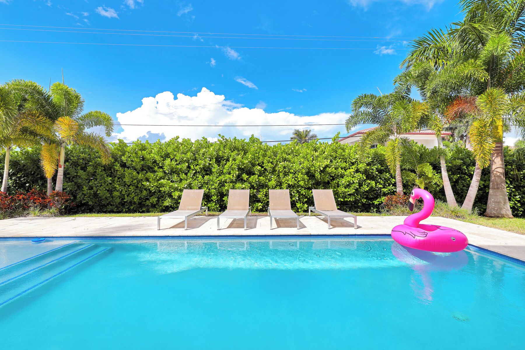 En pool med solstolar och en rosa uppblåsbar flamingofigur.