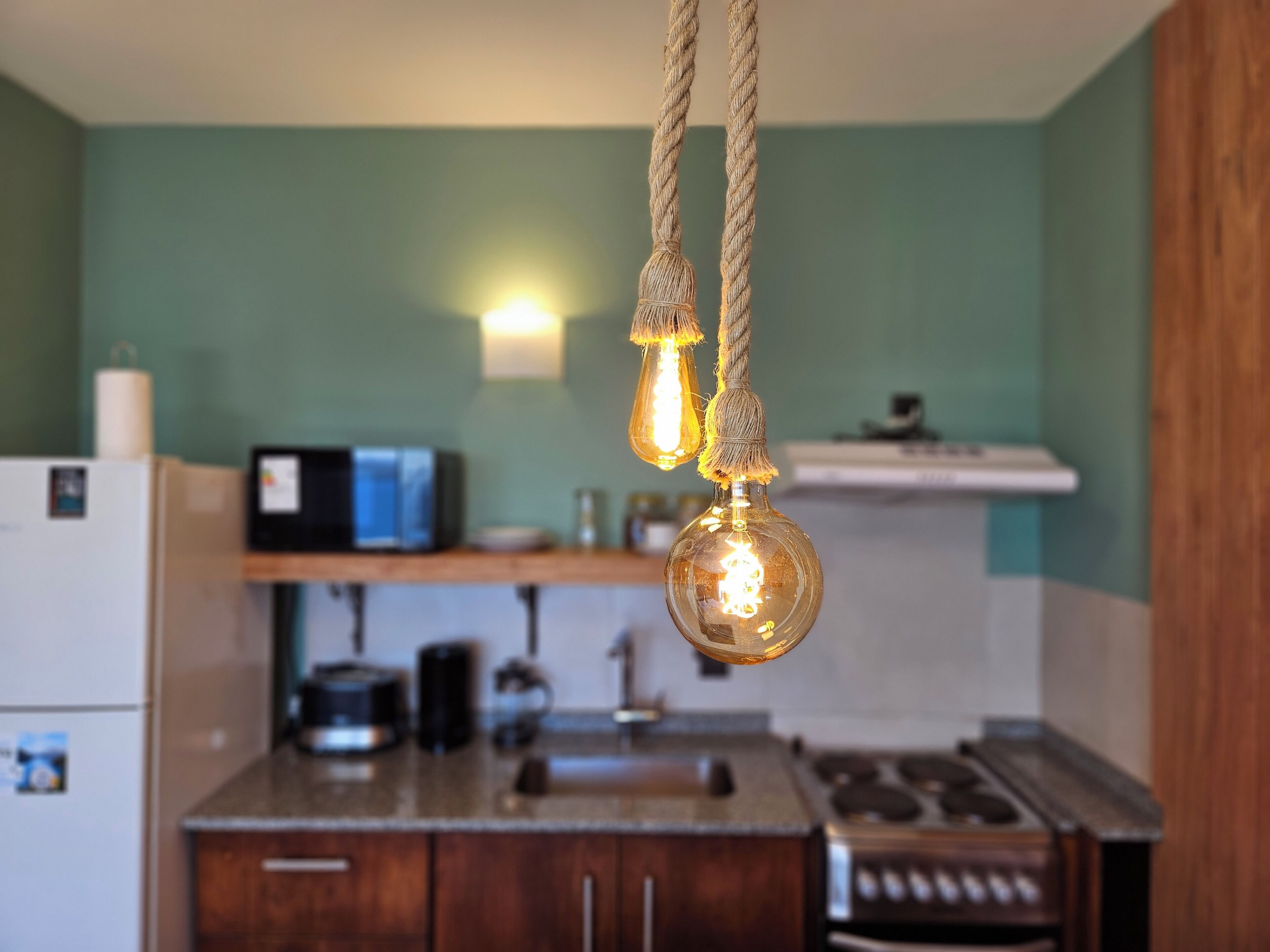 Studio Deluks, pemandangan danau | Dapur pribadi | Lemari es, microwave, oven, dan kompor