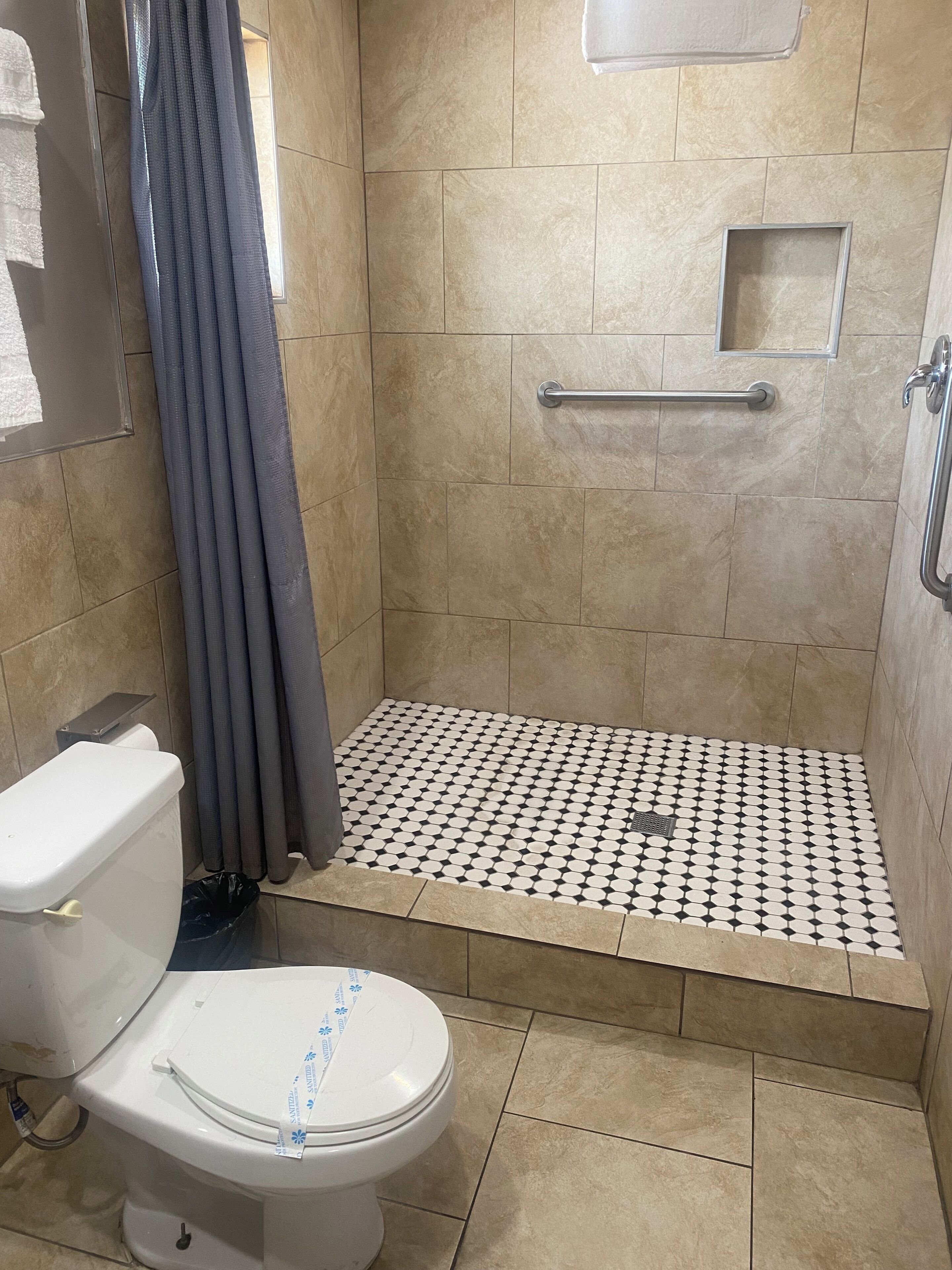 Une salle de bain avec une zone douche, des toilettes et un petit miroir.