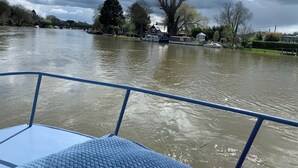 Un río con barcos y árboles a lo largo de sus orillas.