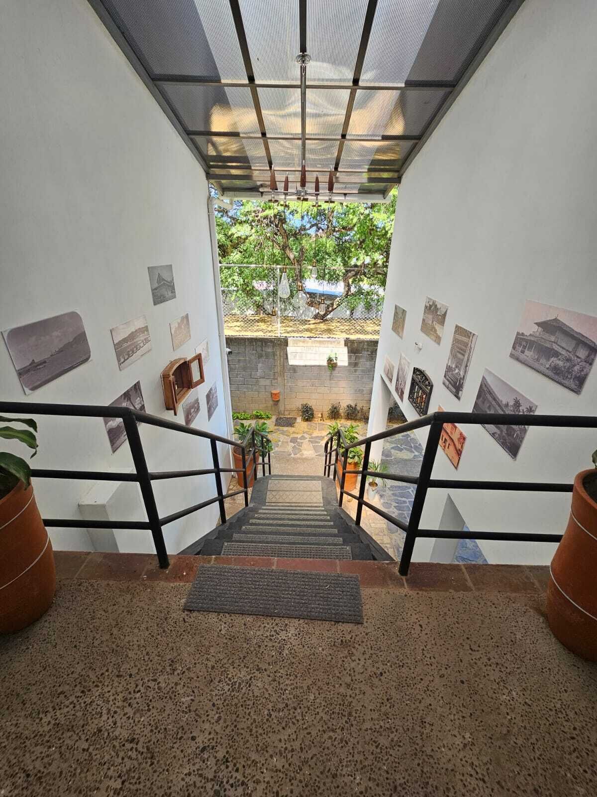 Una escalera conduce a un patio con plantas en macetas y vistas a árboles.