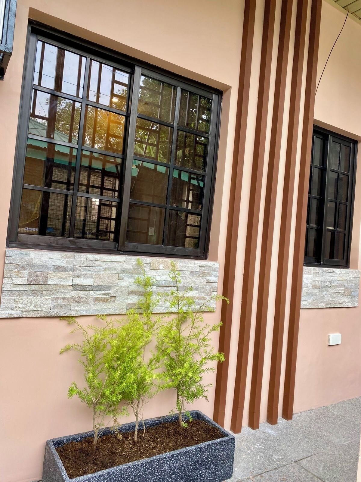 Un edificio con una ventana, una maceta con árboles pequeños y una franja marrón vertical en la pared.