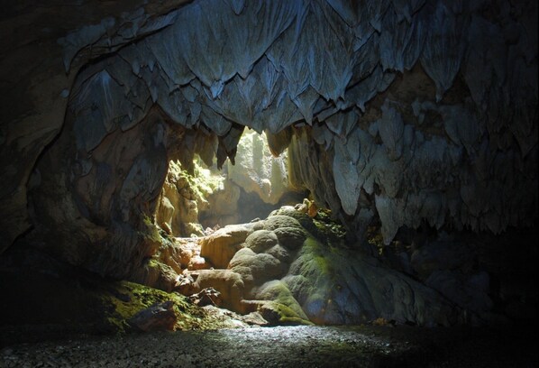 A cave with stalactites and stalagmites, natural lighting, and a rocky floor.
