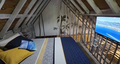 STUDIO CORAIL