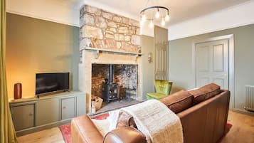 TV, fireplace, books