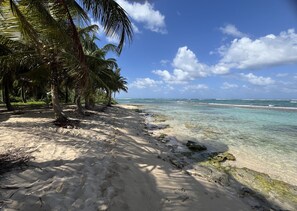 A beach with clear turquoise water, palm trees, and a sandy path leading to the shore. - Duplex with an ocean view, 100 meters from the beach (Le Moule)
