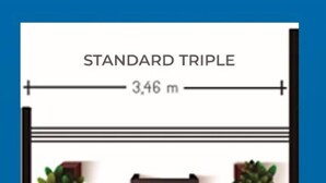 Une chambre triple standard comprenant un lit, une table de chevet, une chaise, un bureau et deux plantes.