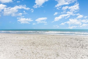 Playa en los alrededores 