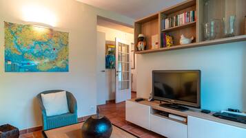 Televisión, chimenea y reproductor de DVD