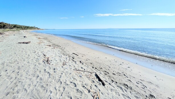 A sandy beach with footprints and driftwood, leading to calm waters under a clear sky. - La Perla di Santa Maria - Vue mer, plage à 100 m (Santa-Maria-Poggio)