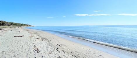 Plage à proximité