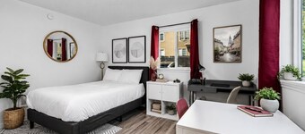 Remodeled Studio in Heart of DT Tacoma - 3