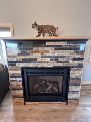 Interior - Charming cabin in the Tobacco Root foothills (Cardwell)