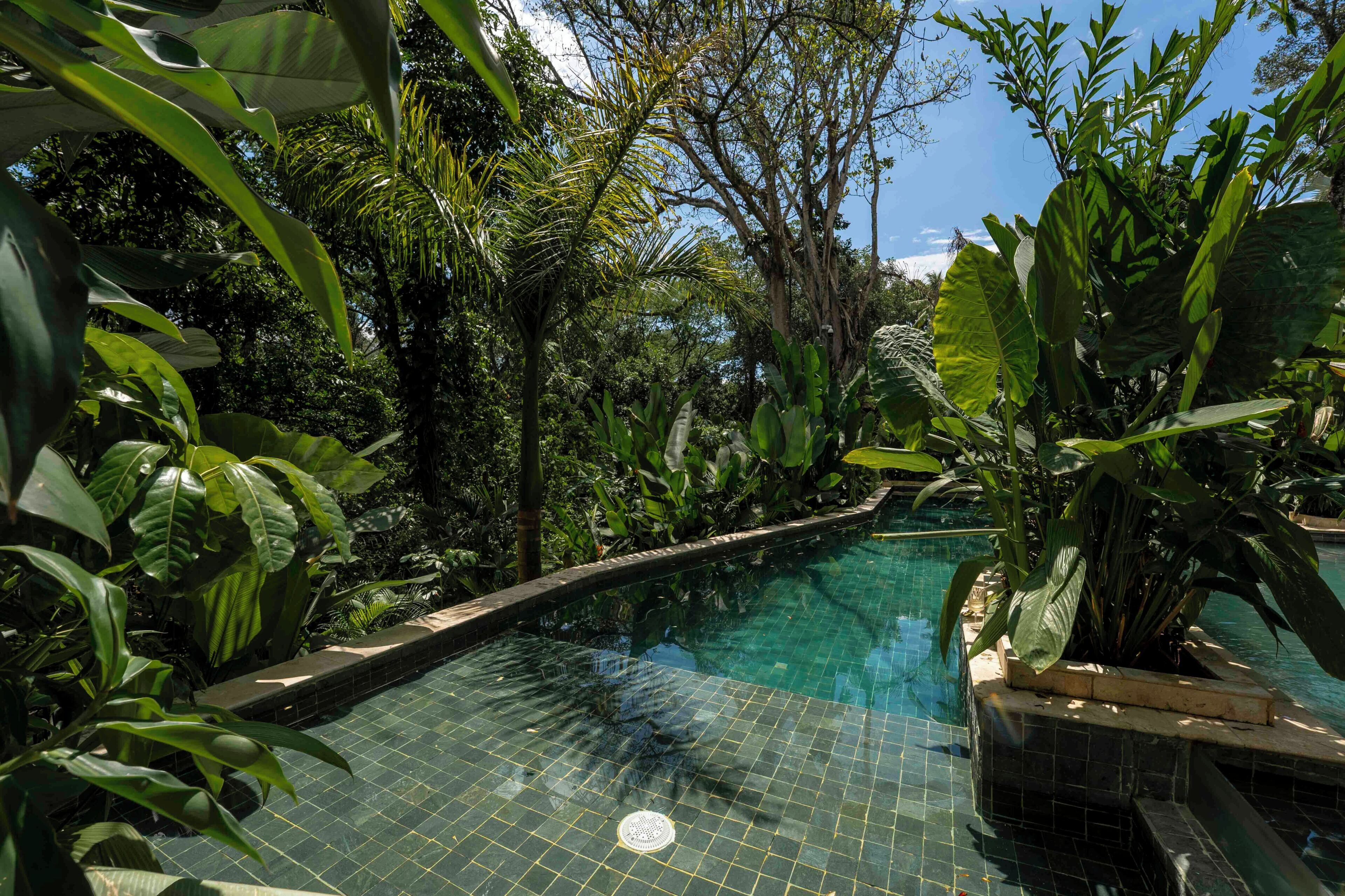 A pool surrounded by lush greenery and a clear blue sky.