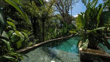 A pool surrounded by lush greenery and a clear blue sky.