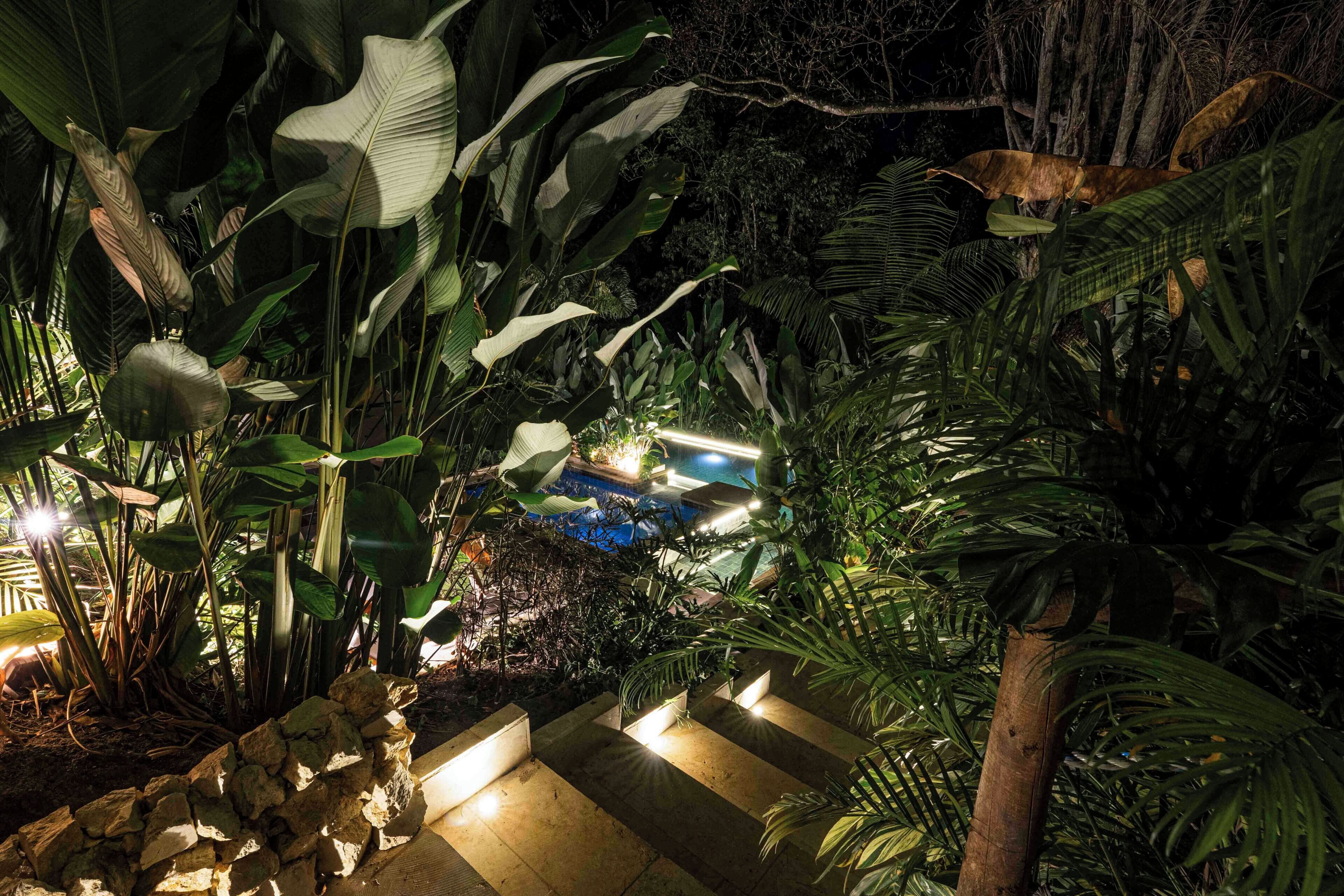 Een tuin 's nachts met een zwembad, omgeven door weelderige tropische planten en verlicht met zacht licht.