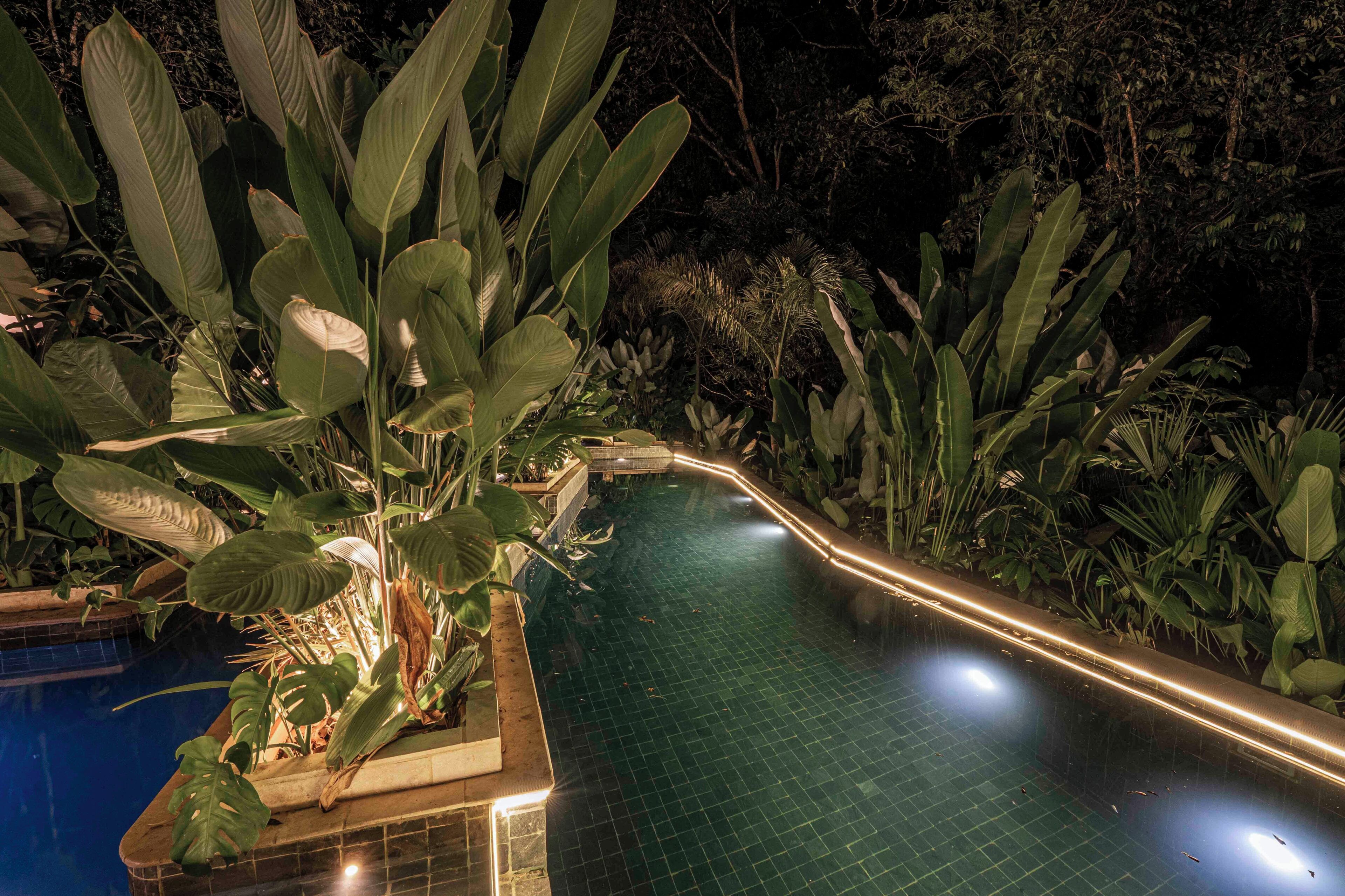 A swimming pool surrounded by lush tropical plants.