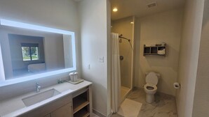 Un bagno con un grande specchio, un lavandino, un water e una doccia.