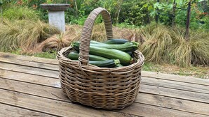 A wicker basket filled with green zucchinis on a wooden deck.