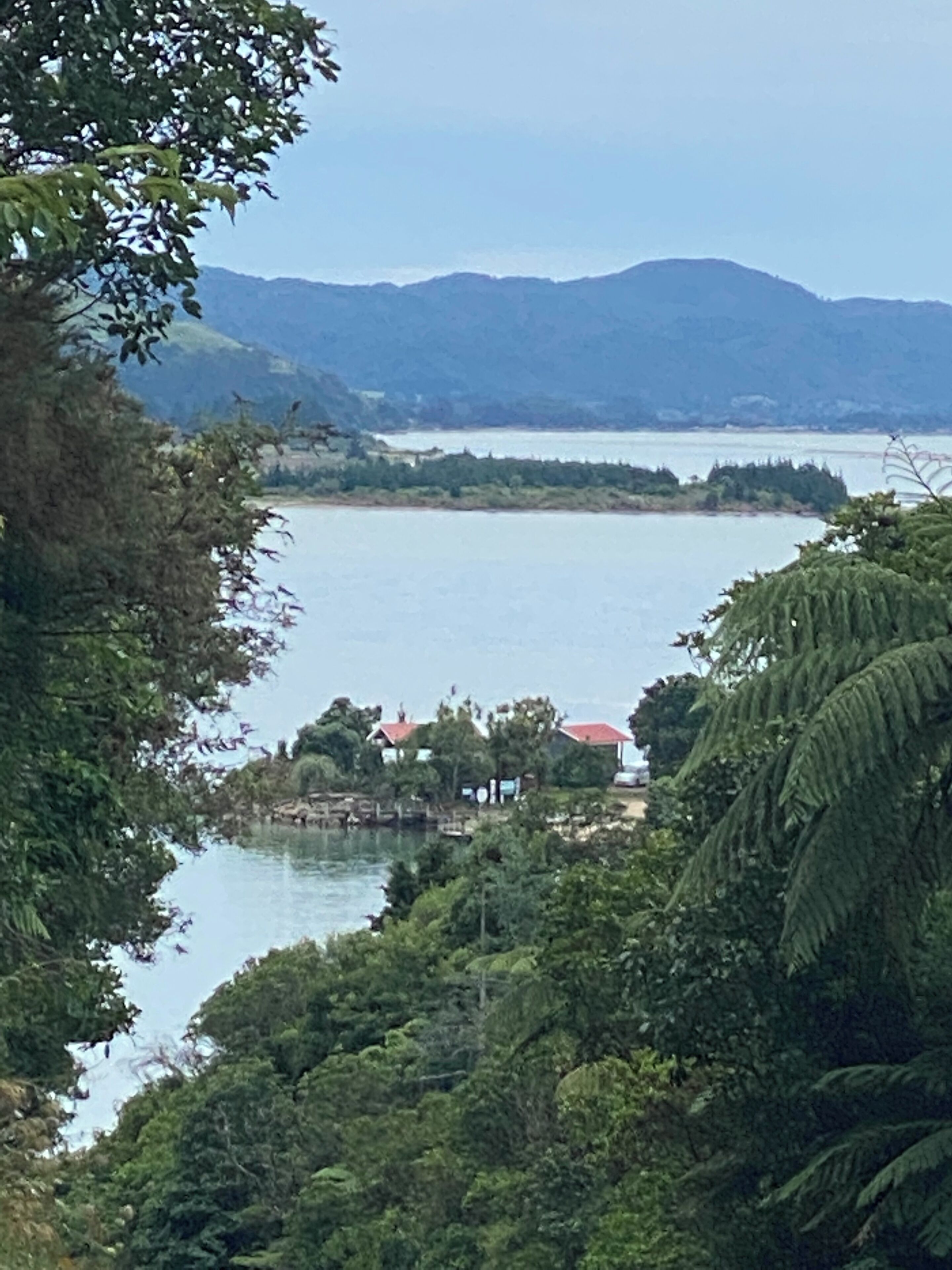 A coastal landscape with a body of water, green foliage, and distant mountains.