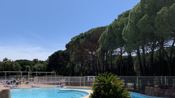 A swimming pool with a rock-lined edge, surrounded by trees and a fenced area with lounge chairs.