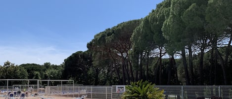 Alberca