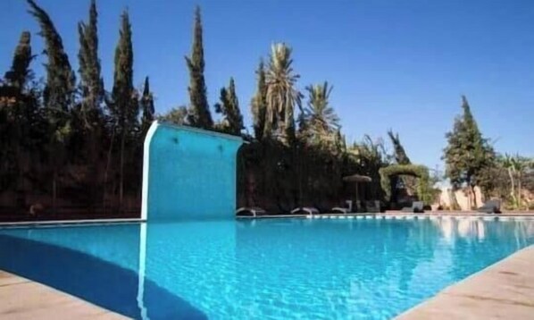 Une piscine à l’eau d’un bleu limpide, entourée d’arbres et bordée d’un ciel dégagé.