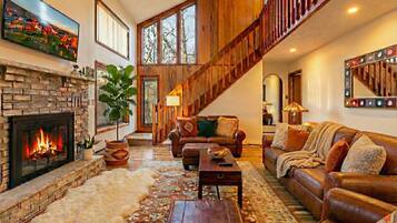 Smart TV, fireplace, books