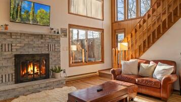 Smart TV, fireplace, books