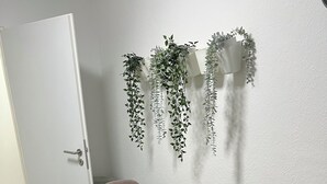 A dining table with woven placemats, surrounded by cushioned chairs, against a wall with hanging greenery.