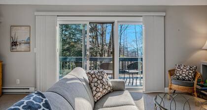 Views, AC, and Family Fun | Kingswood 12E