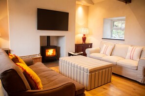 Télévision, cheminée